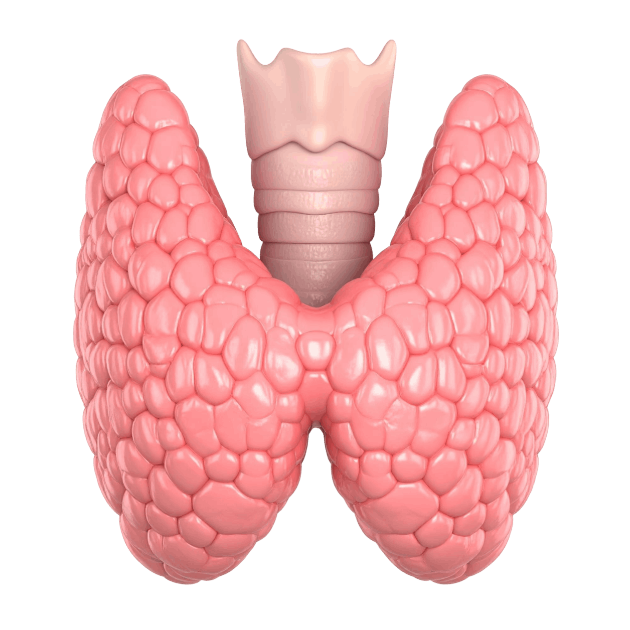 Dr. André Mancini endocrinologista especialista em diabetes e obesidade